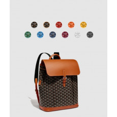 고야드 알핀 백팩 MM