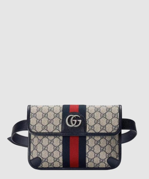 구찌 오피디아 GG 벨트백 674081