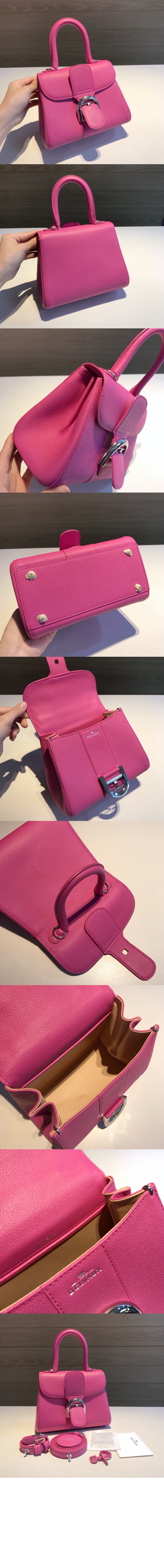 델보 브리앙 미니 로데오