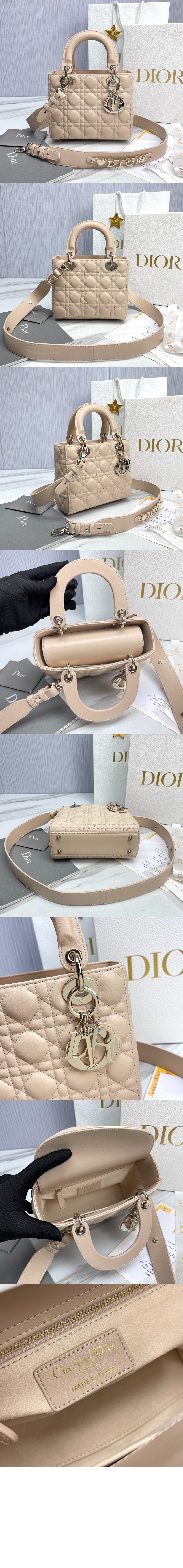 디올 레이디백 ABC M0538