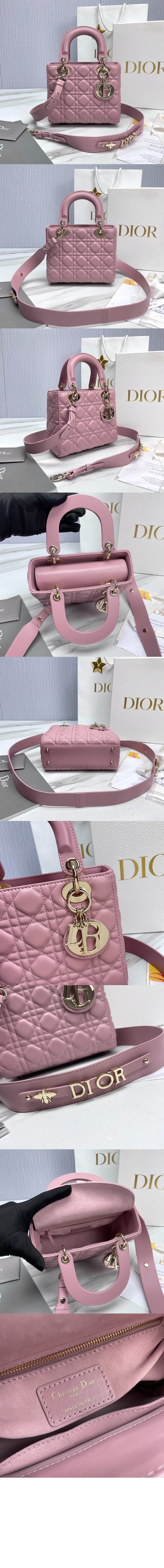디올 레이디백 ABC M0538