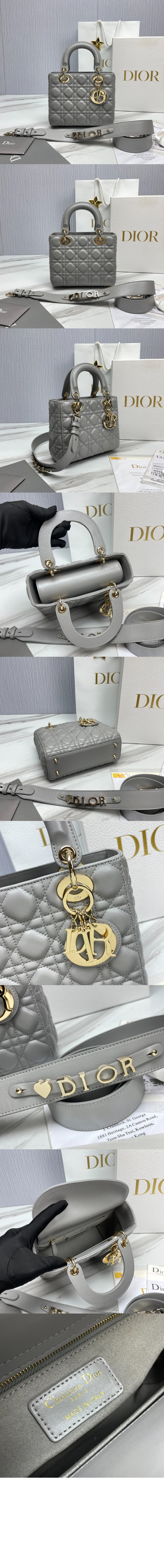 디올 레이디백 ABC M0538