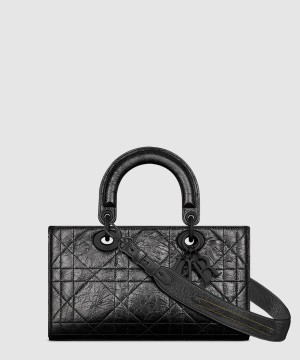 디올 디자이어 레이디백 스몰 ABC M1150