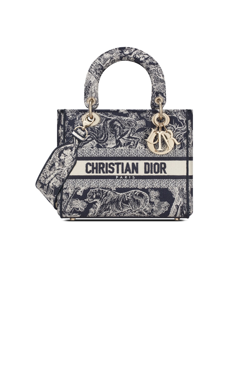 디올 레이디백 디라이트 미듐 M0565