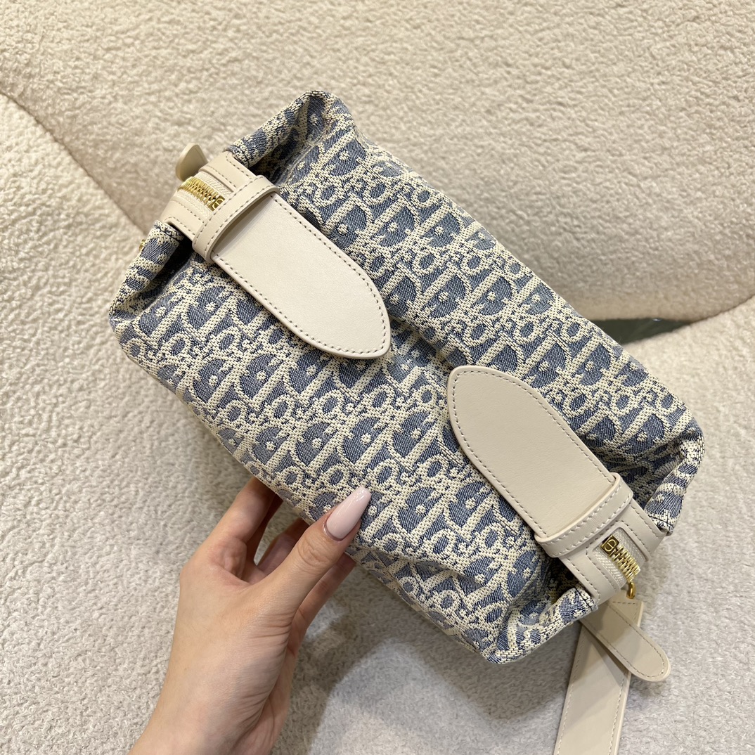 디올 디저니백 스몰