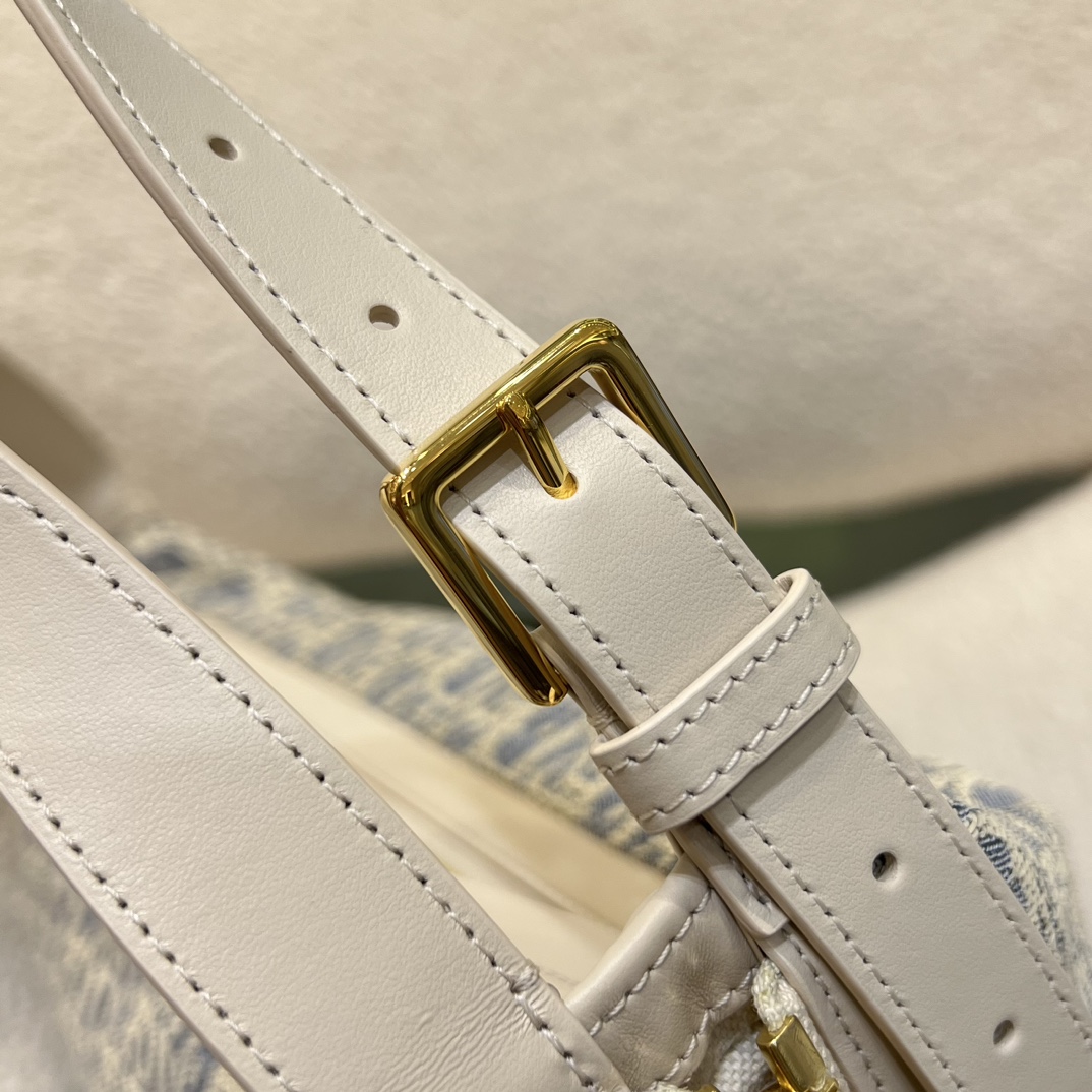 디올 디저니백 스몰