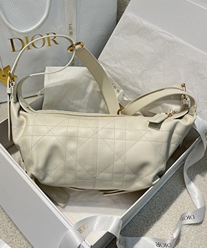 디올 디저니백 스몰