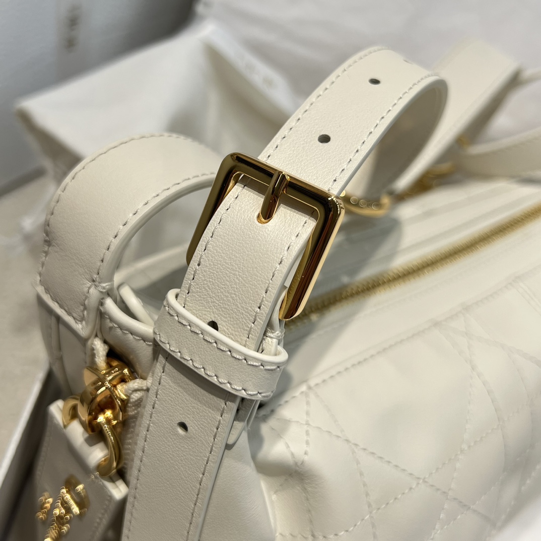 디올 디저니백 스몰