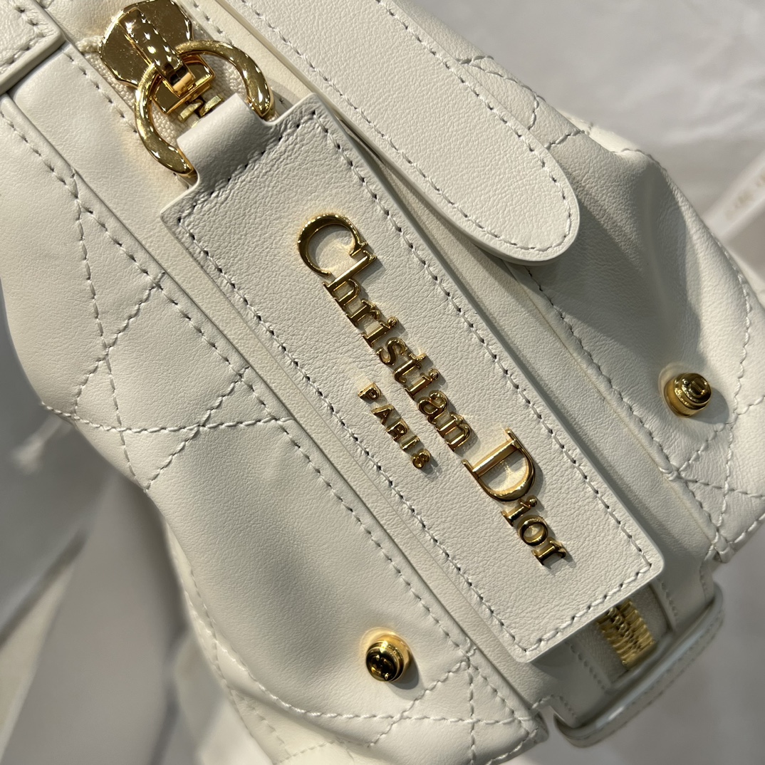 디올 디저니백 스몰