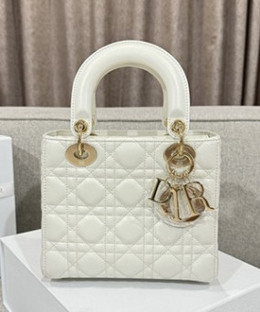 디올 레이디 까나쥬 백 20