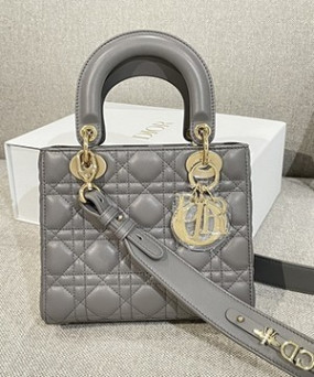 디올 레이디 까나쥬 백 20