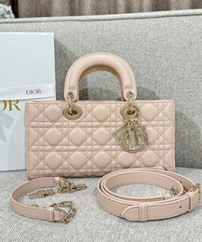 디올 레이디 디조이 미디움 백