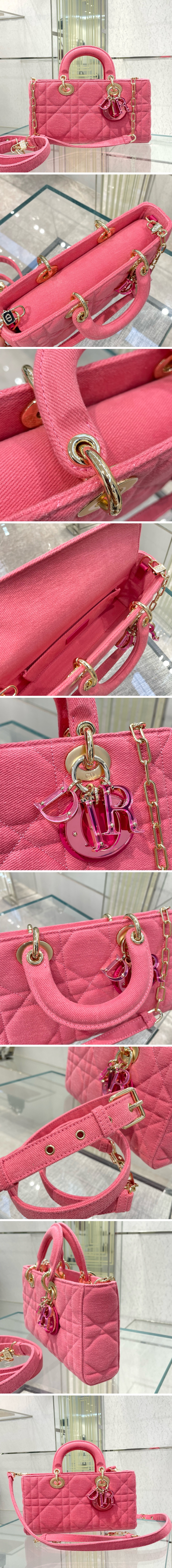 디올 레이디 디조이 미디움 백