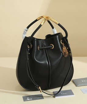 디올 노리타 미듐 백 오블리크 블랙