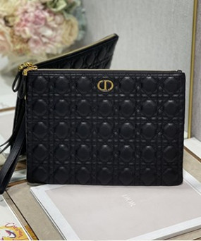 디올 미디움 카로 데일리 파우치