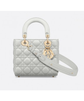 디올 레이디백 스몰 클라우드 그레이