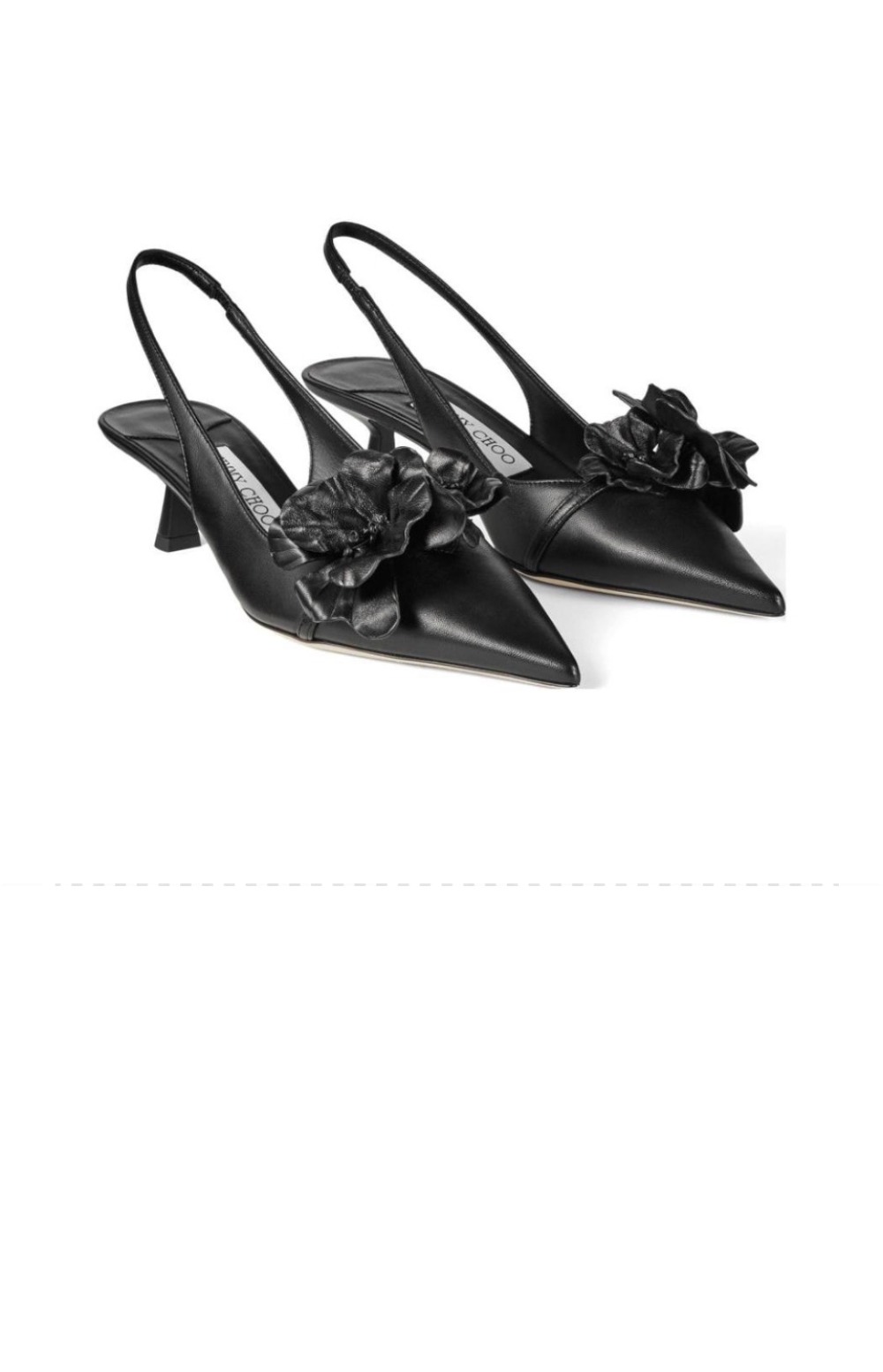 지미추 AMITA FLOWERS 45