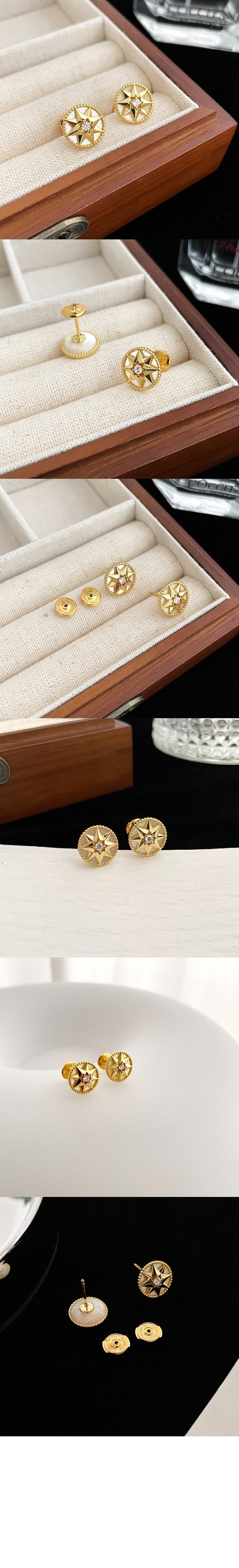 디올 Rose des Vents 스몰 귀걸이 JRDV9