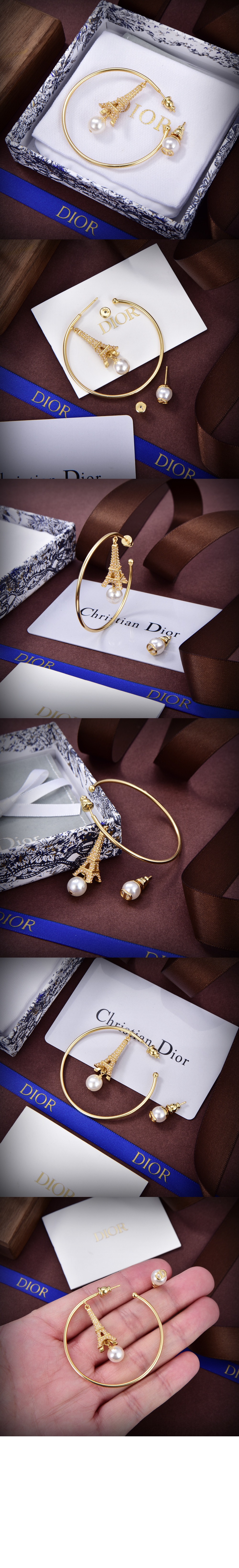 디올 Plan de Paris 귀걸이 E2844