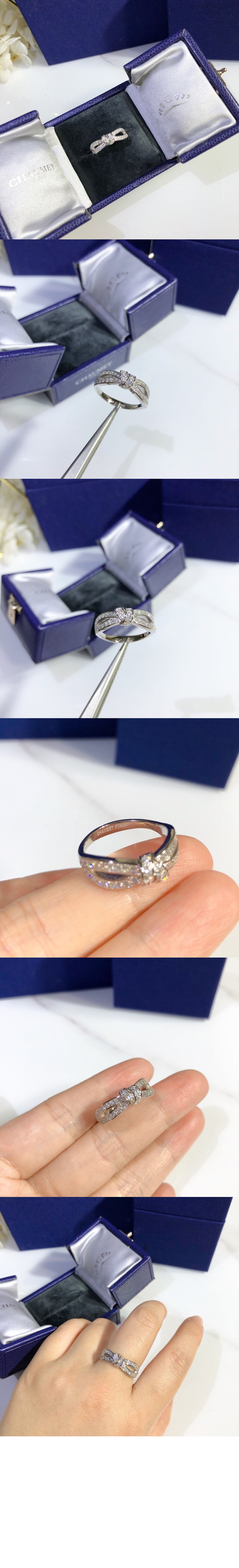 쇼메 주 드 리앙 링 083054