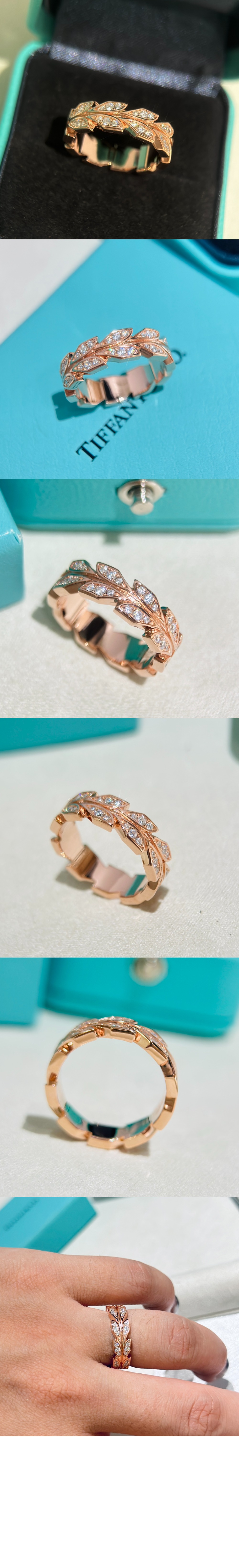 티파니앤코 빅토리아 바인 밴드 반지